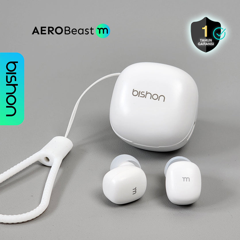 Bishon Aerobeast M TWS Earphone