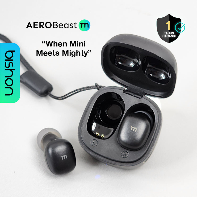 Bishon Aerobeast M TWS Earphone