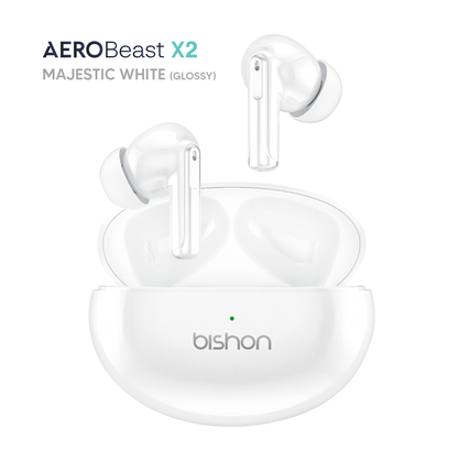 Bishon Aerobeast X2 ANC TWS Earphone